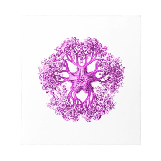 Tentacelabschnitt in rosa notizblock (Vorderseite)