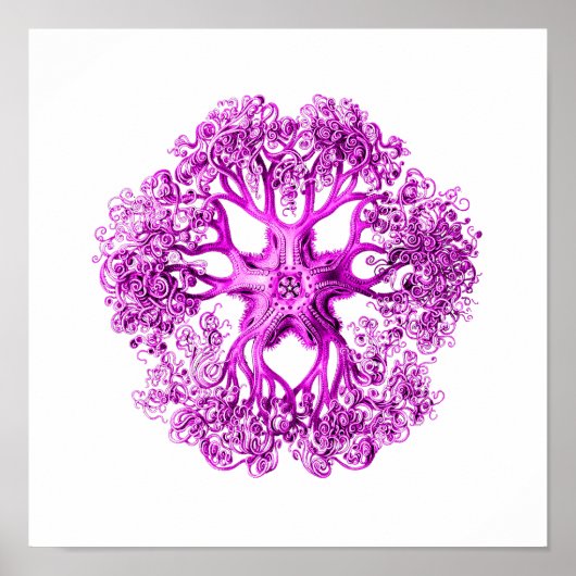 Tentacelabschnitt in rosa poster (Vorne)