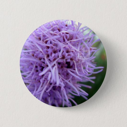 Tentacle Spider Violet Blume Button (Vorderseite)