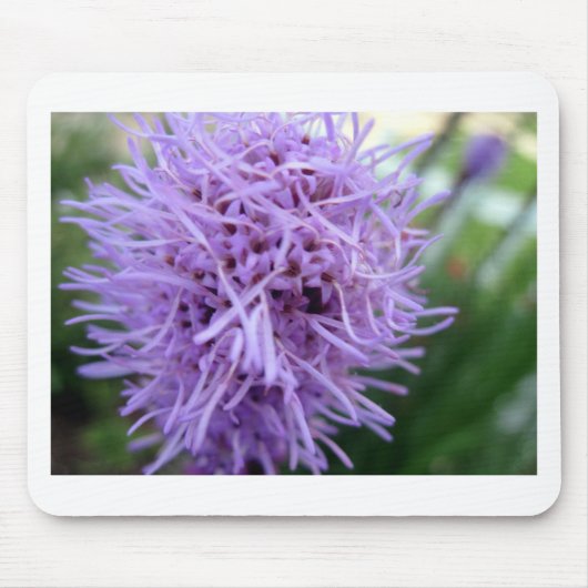 Tentacle Spider Violet Blume Mousepad (Vorne)