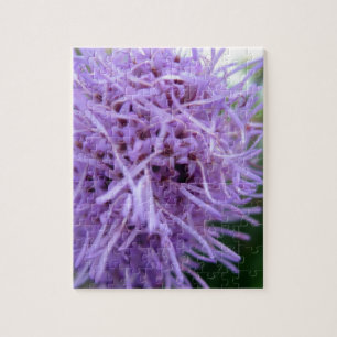 Tentacle Spider Violet Blume Puzzle