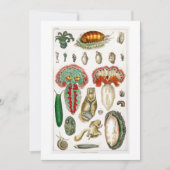 Tentakel Octopus Squidward tentacles Einladung (Vorderseite)