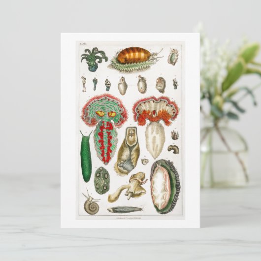 Tentakel Octopus Squidward tentacles Einladung (Stehend Vorderseite)