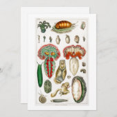 Tentakel Octopus Squidward tentacles Einladung (Vorne/Hinten)