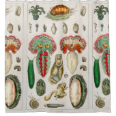 Tentakel Octopus Tintenfisch Duschvorhang (Vorderseite)