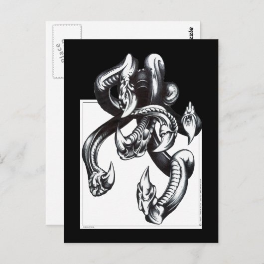 Tentakel Postkarte (Vorne/Hinten)