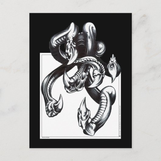 Tentakel Postkarte (Vorderseite)