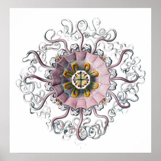 Tentakische Kreatur Poster (Vorne)