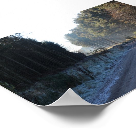 Tentsmuir Forest Poster (Ecke)