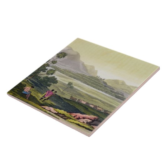 Teocalli, der große Tempel bei Tenochtitlan, Fliese (Seite)