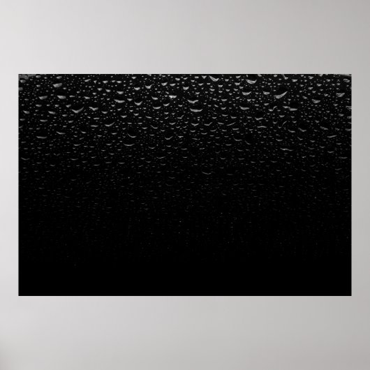 Teppich aus schwarzem und weißem Blumenbeet Poster (Vorne)