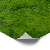 Teppich des Moss - Mai der Weg - irischer Segen Poster (Ecke)