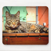 Teppich Maus gefleckte Katze auf einem Gartentisch Mousepad (Vorne)