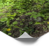 Teppichboden mit Baumschatten Poster (Ecke)