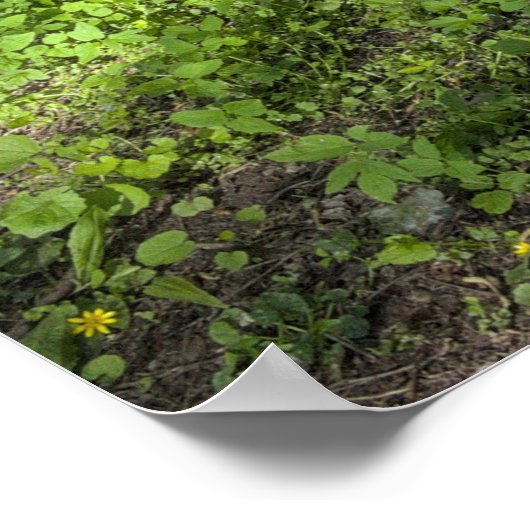 Teppichboden mit Baumschatten Poster (Ecke)