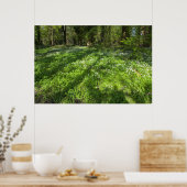 Teppichboden mit Baumschatten Poster (Küche)