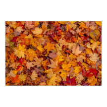 Teppichboden, Ontario, Kanada