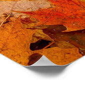 Teppichboden, Ontario, Kanada Poster (Ecke)