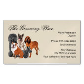 Teppichmagnete für moderne Visitenkarten Magnetische Visitenkarte (Vorderseite)