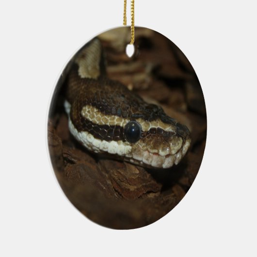 Teppichpython Keramikornament (Rechts)