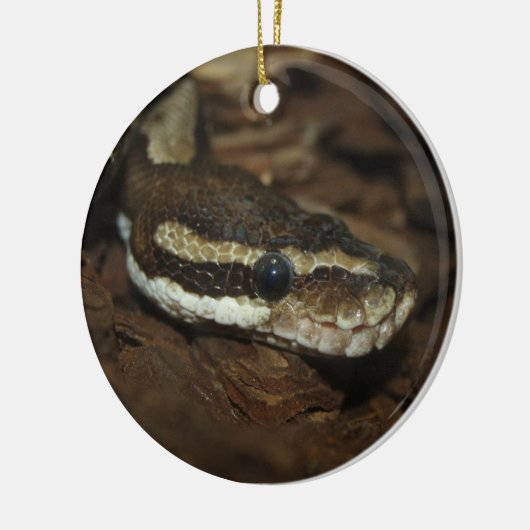 Teppichpython Keramikornament (Links)