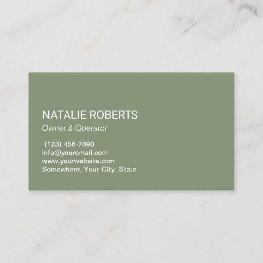 Teppichreinigung Silver Vacuum Reiniger Grün Visitenkarte (Rückseite)