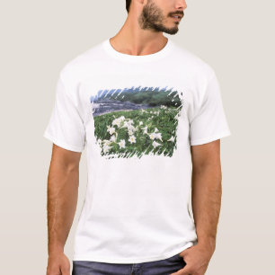 Teppo Yuri (Lilie), Yakushima, Kagoshima, Japan T-Shirt