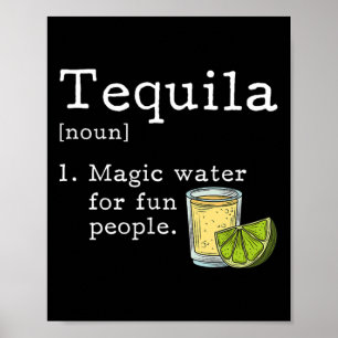 Tequila Lover Cinco De Mayo Mexikanisches Party Poster
