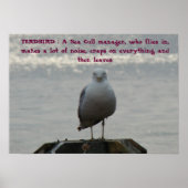 TERDBIRD : Ein Sea Gull Manager, der... Poster (Vorne)