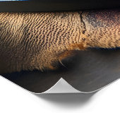 Teriyaki Temptation 24x36 Poster (Ecke)