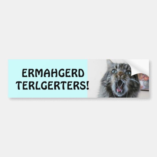 Terlgerters! Ermahgerd! Schockierte Kitty-Matrosen Autoaufkleber (Vorne)