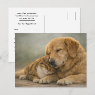 Termin-Erinnerung für tierärztliche Untersuchung z Postkarte