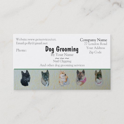 Termin für die Pflege von Hunden und Haustieren (Vorderseite)