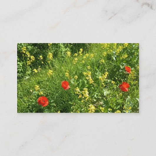 Termin Karte Rote Wildblumenwiese (Rückseite)