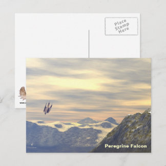 Terminal Velocity Peregrine Falcon Postkarte
