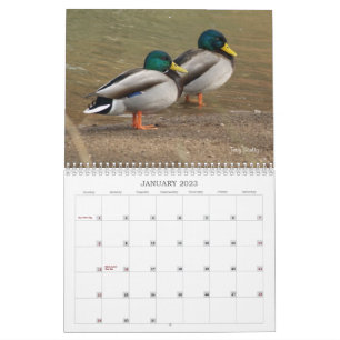 Terminkalender für die Jagd auf Mallard-Enten Kalender
