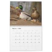 Terminkalender für die Jagd auf Mallard-Enten Kalender (Feb 2026)
