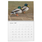 Terminkalender für die Jagd auf Mallard-Enten Kalender (Jan 2027)