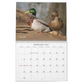 Terminkalender für die Jagd auf Mallard-Enten Kalender (Feb 2027)