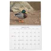 Terminkalender für die Jagd auf Mallard-Enten Kalender (Mär 2026)