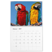 Terminkalender für gemischte Papieren Kalender (Feb 2027)
