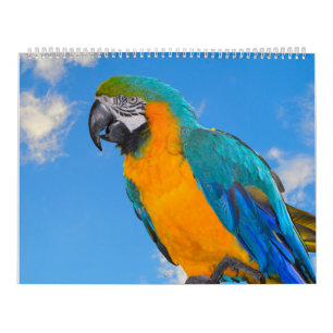 Terminkalender für gemischte Papieren Kalender