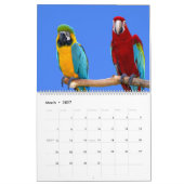 Terminkalender für gemischte Papieren Kalender (Mär 2027)