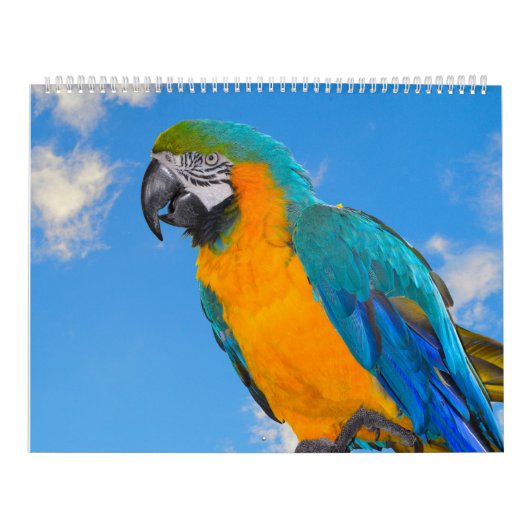 Terminkalender für gemischte Papieren Kalender (Titelbild)