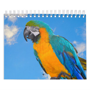 Terminkalender für gemischte Papieren Kalender