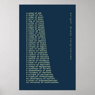 Terminologie der Tiergruppe Poster