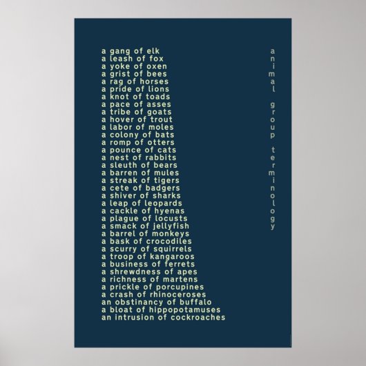 Terminologie der Tiergruppe Poster (Vorne)