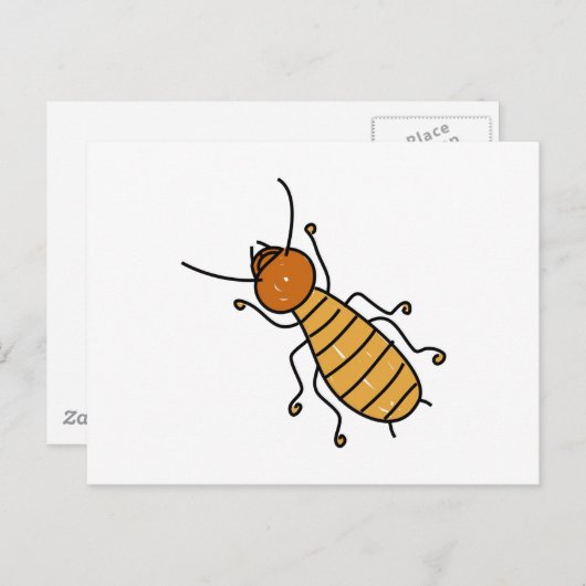 Termite Postkarte (Vorne/Hinten)