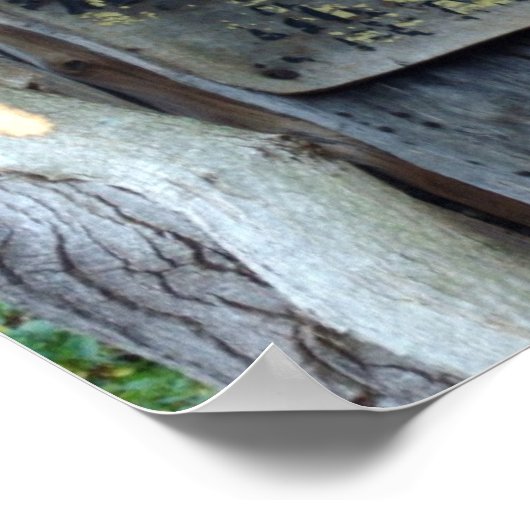 Termiten? Poster (Ecke)