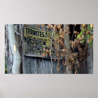 Termiten? Poster